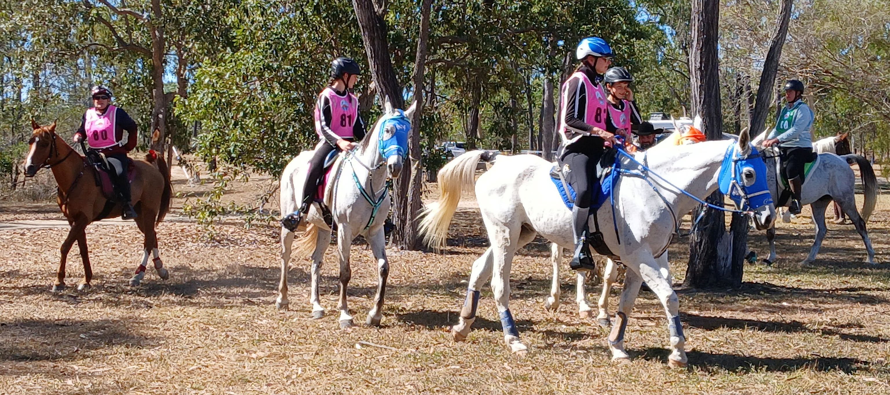 A group of endurance riders passing through the bush