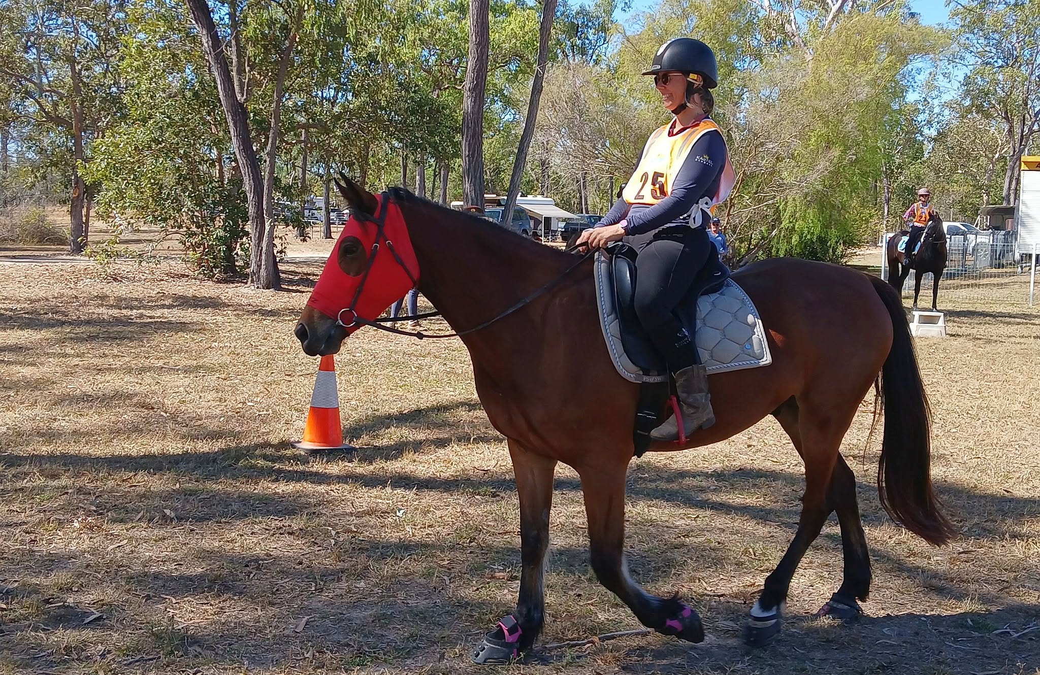 Rider on a horse wearing a red fly veil