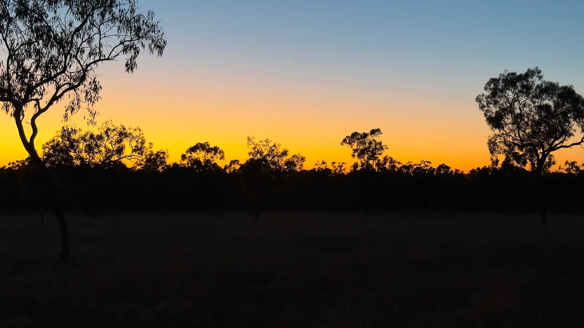 Sunset silhouette over the campsite
