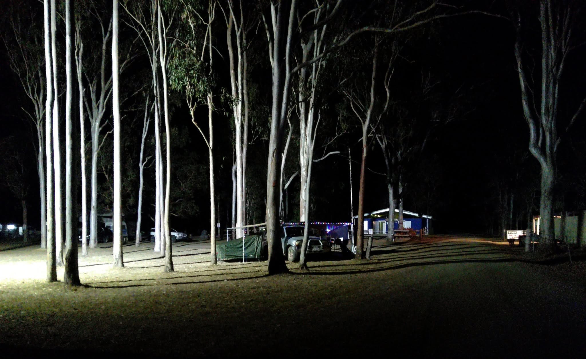 Camp lit up under the gum trees after dark