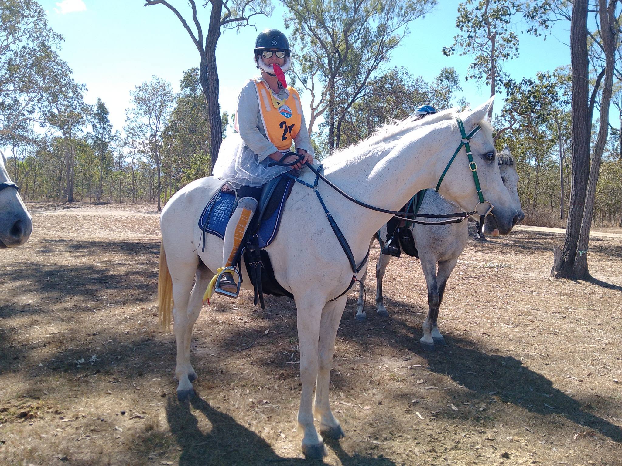 Rider in an orange vest on a white horse wearing a red fly veil