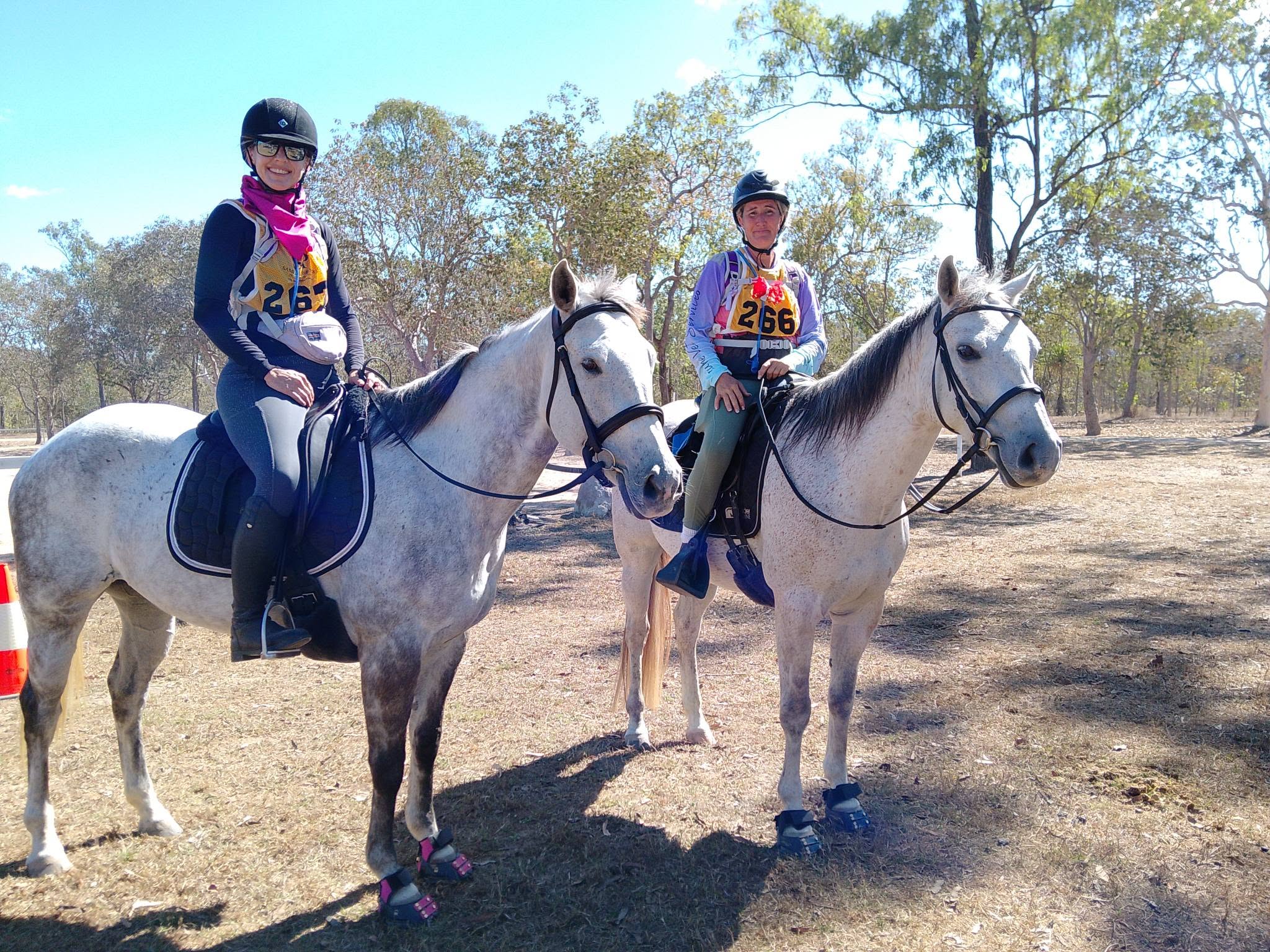 Two riders on grey horses wearing hoof boots