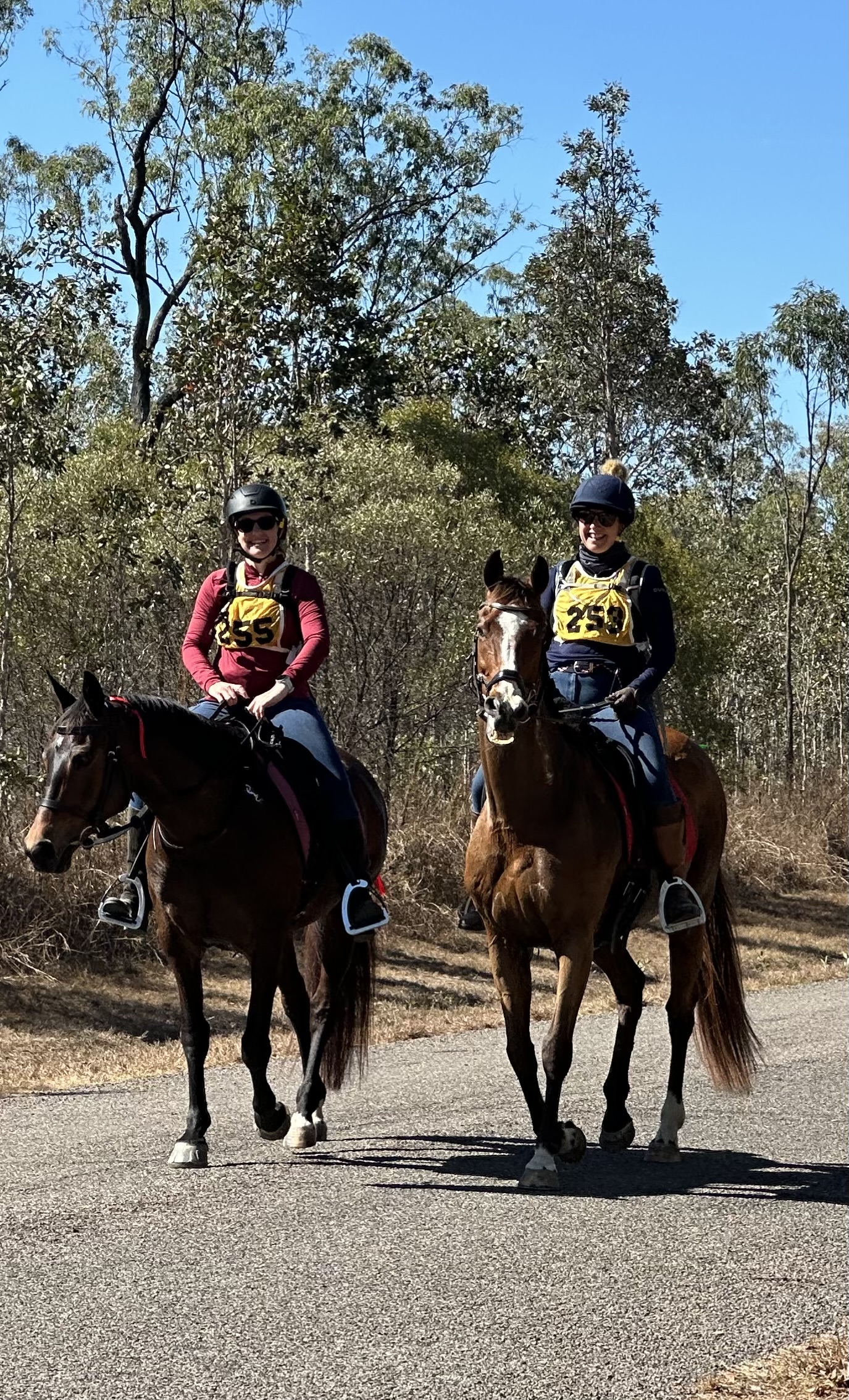 Two riders trotting along the sealed road on bay and chestnut horses