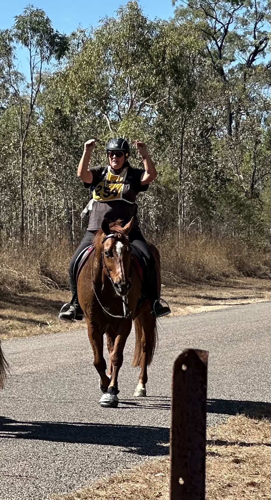 Rider with fists raised on a chestnut horse approaching along the road