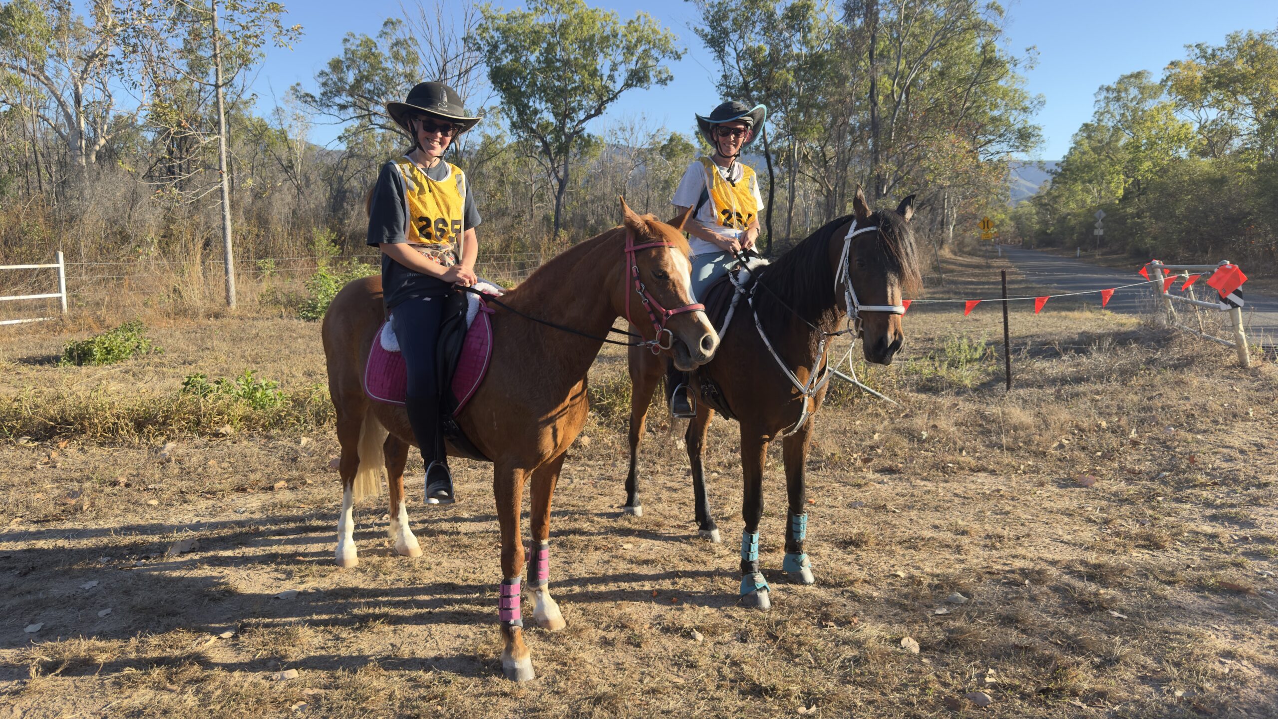 Two riders in yellow vests on a chestnut and a dark bay horse beside the track gate